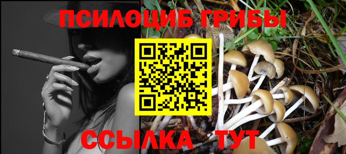 Псилоцибиновые грибы Cubensis Ялта